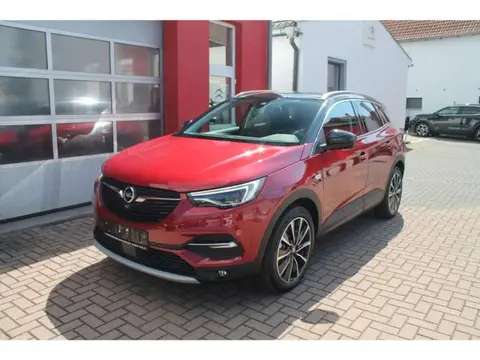 Used OPEL GRANDLAND Hybrid 2021 Ad 