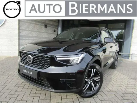 Used VOLVO XC40 Hybrid 2024 Ad 