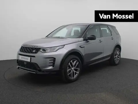 Used LAND ROVER DISCOVERY Hybrid 2024 Ad 