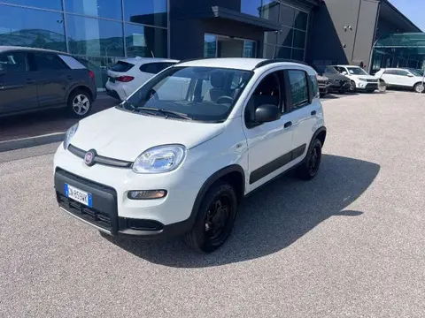 Annonce FIAT PANDA Essence 2023 d'occasion 