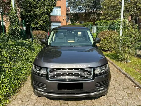 Used LAND ROVER RANGE ROVER Diesel 2015 Ad 