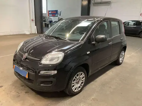 Annonce FIAT PANDA Essence 2019 d'occasion 