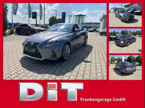 Used LEXUS IS Hybrid 2021 Ad 