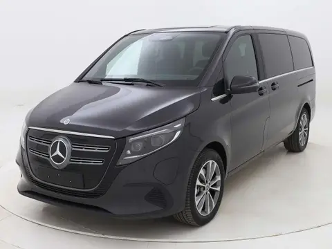 Annonce MERCEDES-BENZ EQV Électrique 2024 d'occasion 