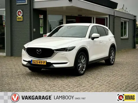 Annonce MAZDA CX-5 Essence 2019 d'occasion 