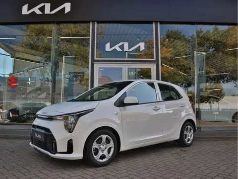 Used KIA PICANTO Petrol 2024 Ad 