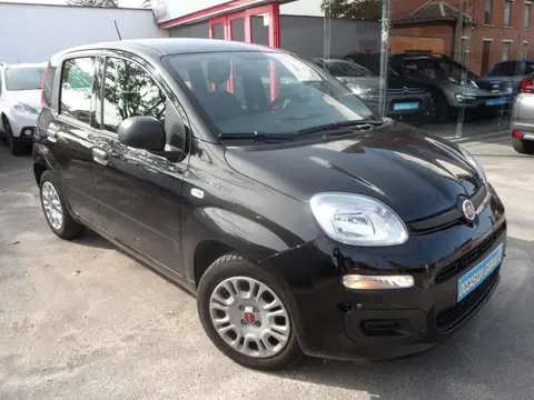 Annonce FIAT PANDA Essence 2021 d'occasion 