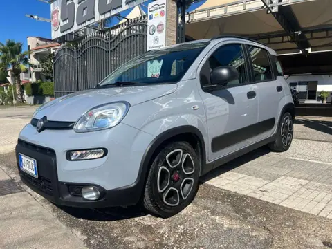 Used FIAT PANDA Hybrid 2022 Ad 