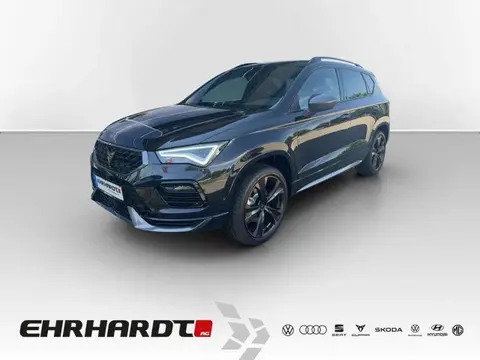 Used CUPRA ATECA Petrol 2023 Ad 