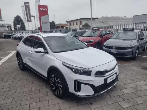 Annonce KIA XCEED Hybride 2024 d'occasion 