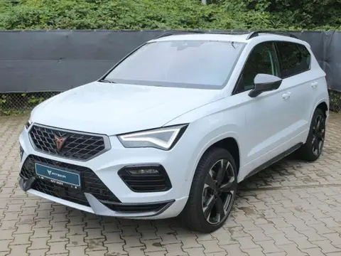 Annonce CUPRA ATECA Essence 2024 d'occasion 