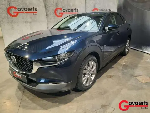 Annonce MAZDA CX-30 Essence 2021 d'occasion 