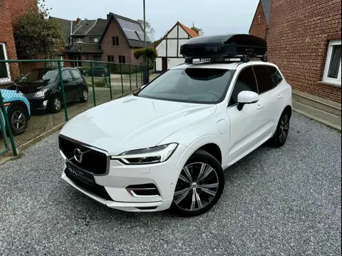 Used VOLVO XC60 Hybrid 2019 Ad 