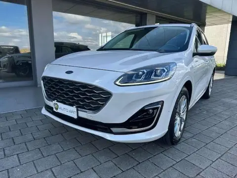 Annonce FORD KUGA Hybride 2021 d'occasion 