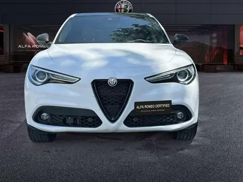 Annonce ALFA ROMEO STELVIO Diesel 2020 d'occasion Italie