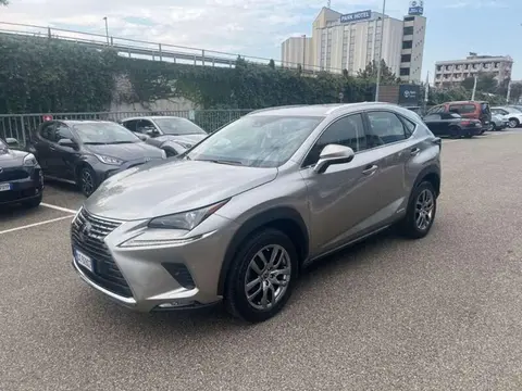 Used LEXUS NX Hybrid 2020 Ad 