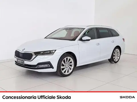 Used SKODA OCTAVIA Diesel 2022 Ad 