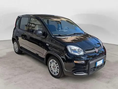 Used FIAT PANDA Hybrid 2024 Ad 