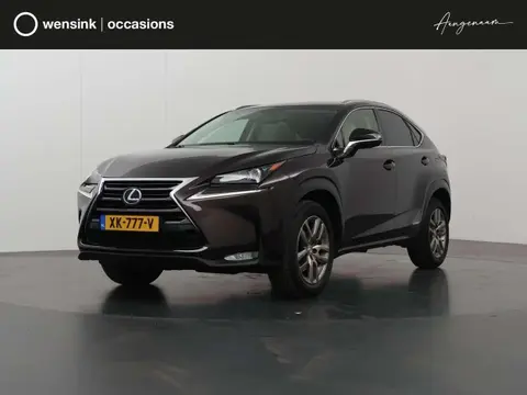 Used LEXUS NX Hybrid 2015 Ad 