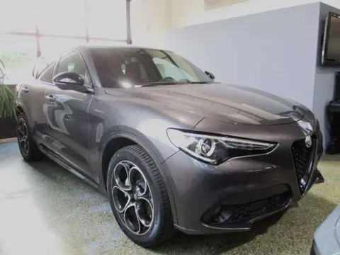 Annonce ALFA ROMEO STELVIO Diesel 2022 d'occasion 