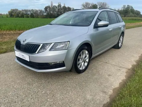 Annonce SKODA OCTAVIA Diesel 2020 d'occasion 