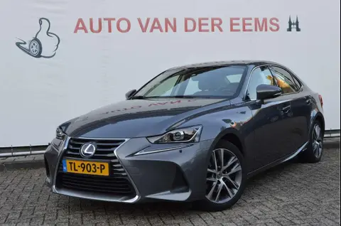 Annonce LEXUS IS Hybride 2018 d'occasion 