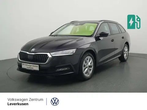 Used SKODA OCTAVIA Hybrid 2022 Ad 