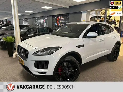 Used JAGUAR E-PACE Petrol 2019 Ad 