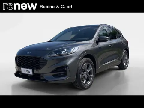 Annonce FORD KUGA Diesel 2021 d'occasion 