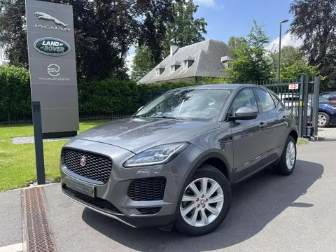 Used JAGUAR E-PACE Diesel 2021 Ad 