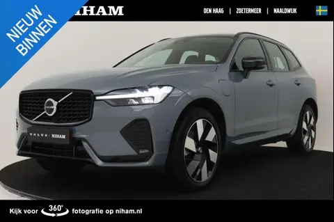 Annonce VOLVO XC60 Hybride 2024 d'occasion 