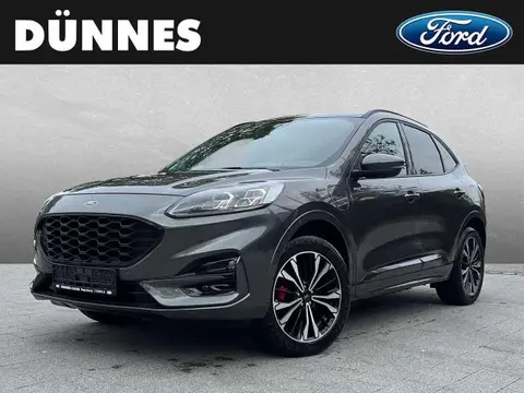 Annonce FORD KUGA Essence 2021 d'occasion 