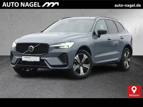 Annonce VOLVO XC60 Hybride 2023 d'occasion 