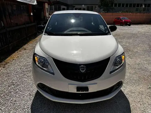 Used LANCIA YPSILON Hybrid 2024 Ad 