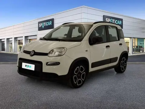 Used FIAT PANDA Petrol 2022 Ad 