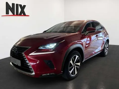 Used LEXUS NX Hybrid 2020 Ad 