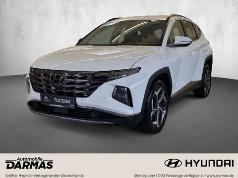 Annonce HYUNDAI TUCSON Essence 2024 d'occasion 