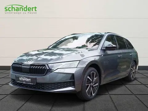 Annonce SKODA OCTAVIA Diesel 2024 d'occasion 