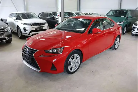 Used LEXUS IS Hybrid 2019 Ad 