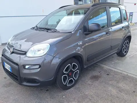 Used FIAT PANDA Hybrid 2022 Ad 