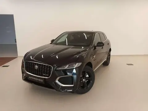 Annonce JAGUAR F-PACE Hybride 2023 d'occasion 