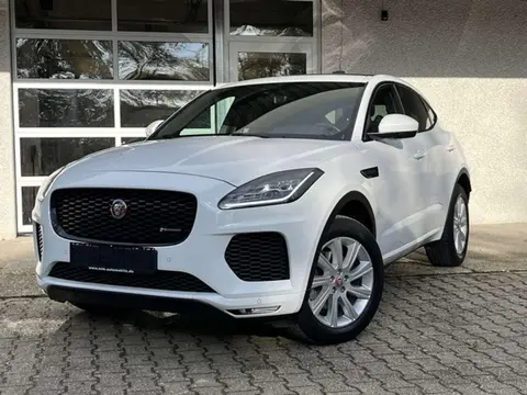 Used JAGUAR E-PACE Diesel 2018 Ad 