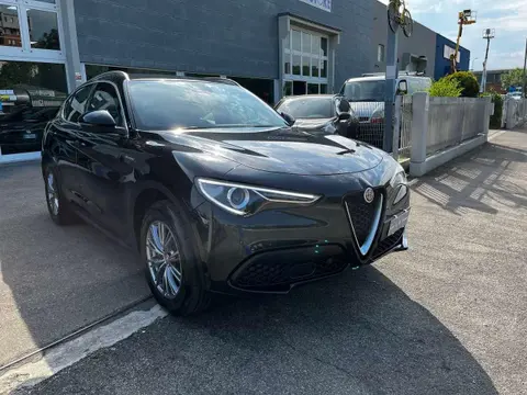 Used ALFA ROMEO STELVIO Petrol 2021 Ad 