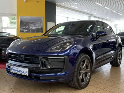 Used PORSCHE MACAN Petrol 2022 Ad 