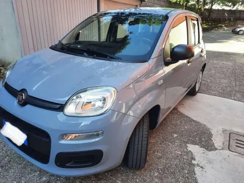 Used FIAT PANDA Hybrid 2021 Ad 