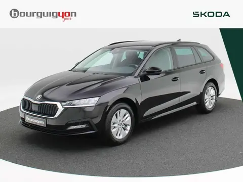 Used SKODA OCTAVIA Petrol 2024 Ad 