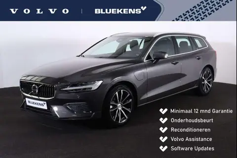 Annonce VOLVO V60 Hybride 2024 d'occasion 