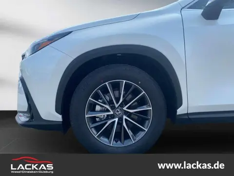 Used LEXUS NX Hybrid 2024 Ad 