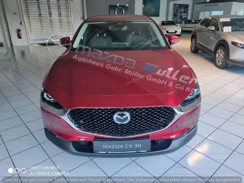 Annonce MAZDA CX-30 Essence 2020 d'occasion 