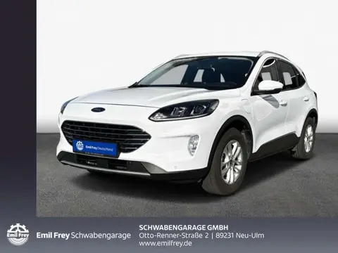 Used FORD KUGA Hybrid 2022 Ad 